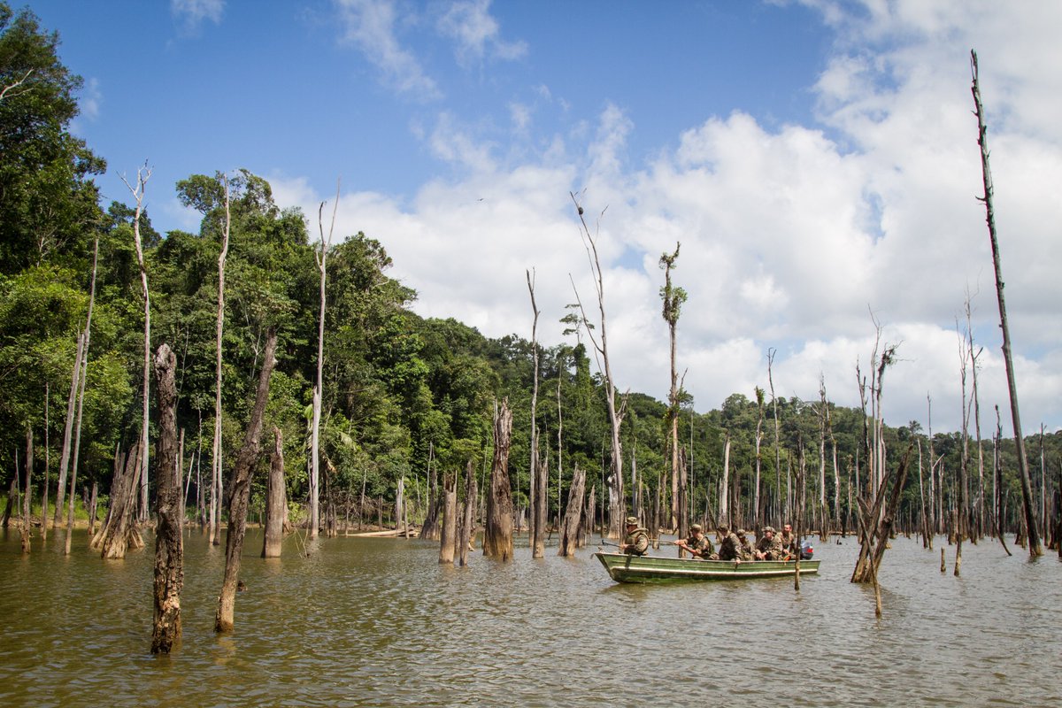 FAG_Officiel's tweet image. #BattlePhoto P3 le "wild" se retrouve aussi dans nos criques, lacs et autres étendues d'eau.