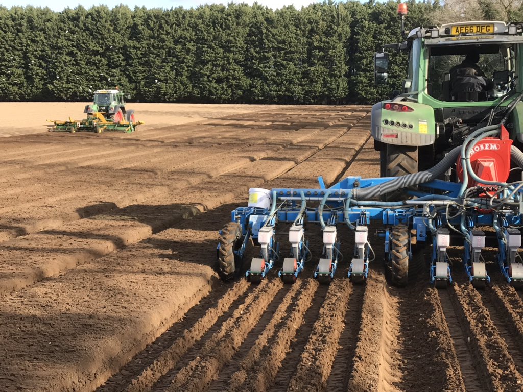 Onions going in well today, 2 weeks earlier than last year.