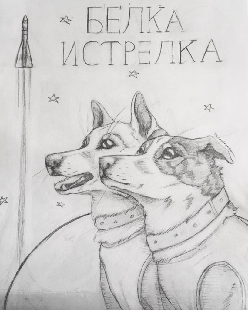 Собака в космосе раскраска
