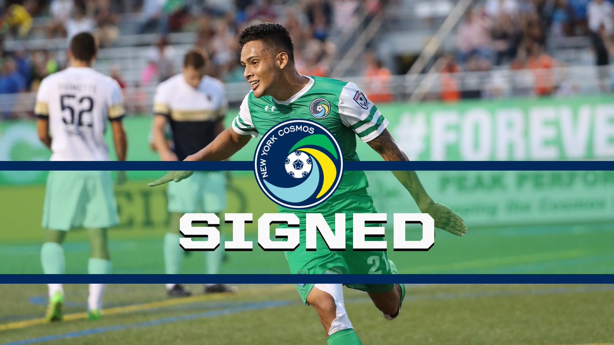 NYCosmos's tweet photo. Welcoming back another of our own. 

Former #NYCosmos Academy and first-team player @Futbolesvidavid has returned to the club: https://t.co/UcNUYPmDPV #ForeverGreen https://t.co/Mlsv4zKT7r