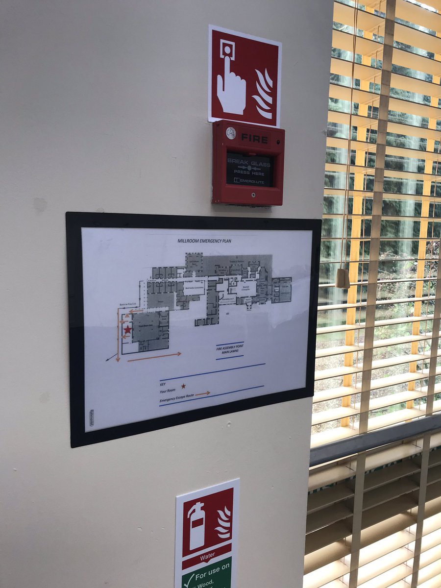 Rahmqvistuk_irl's tweet photo. Our Solo Frames are perfect for signage and information around your premises. Ideal for walls, windows and doors. Low tack adhesive ensures no damage to surfaces. Very simple to use. No more tac or tape! A much smarter solution. #rahmqvist #happyworkday #thingsthatwork https://t.co/EXJxGY0vEq