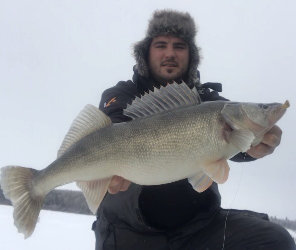 Nathan Paradis tweet media