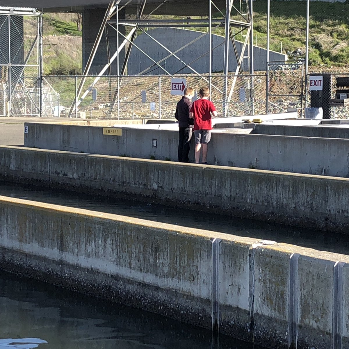 Emily_Battin's tweet image. Always count on the amazing.       Mrs. Miksits to bring a little fun to the day! A beautiful morning out at the Nimbus Fish Hatchery! #NatureBowl #WCSJoyfulLearning