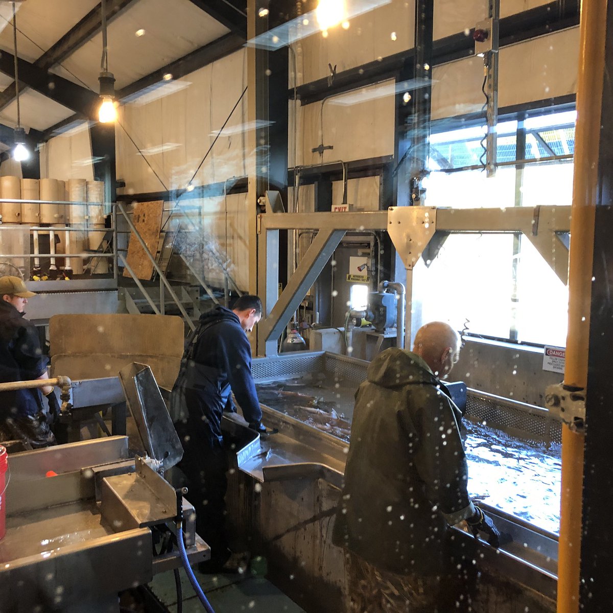 Emily_Battin's tweet image. Always count on the amazing.       Mrs. Miksits to bring a little fun to the day! A beautiful morning out at the Nimbus Fish Hatchery! #NatureBowl #WCSJoyfulLearning