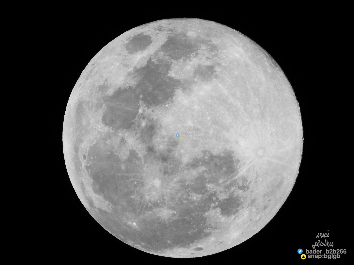 ����� ������� ���� ���� �������