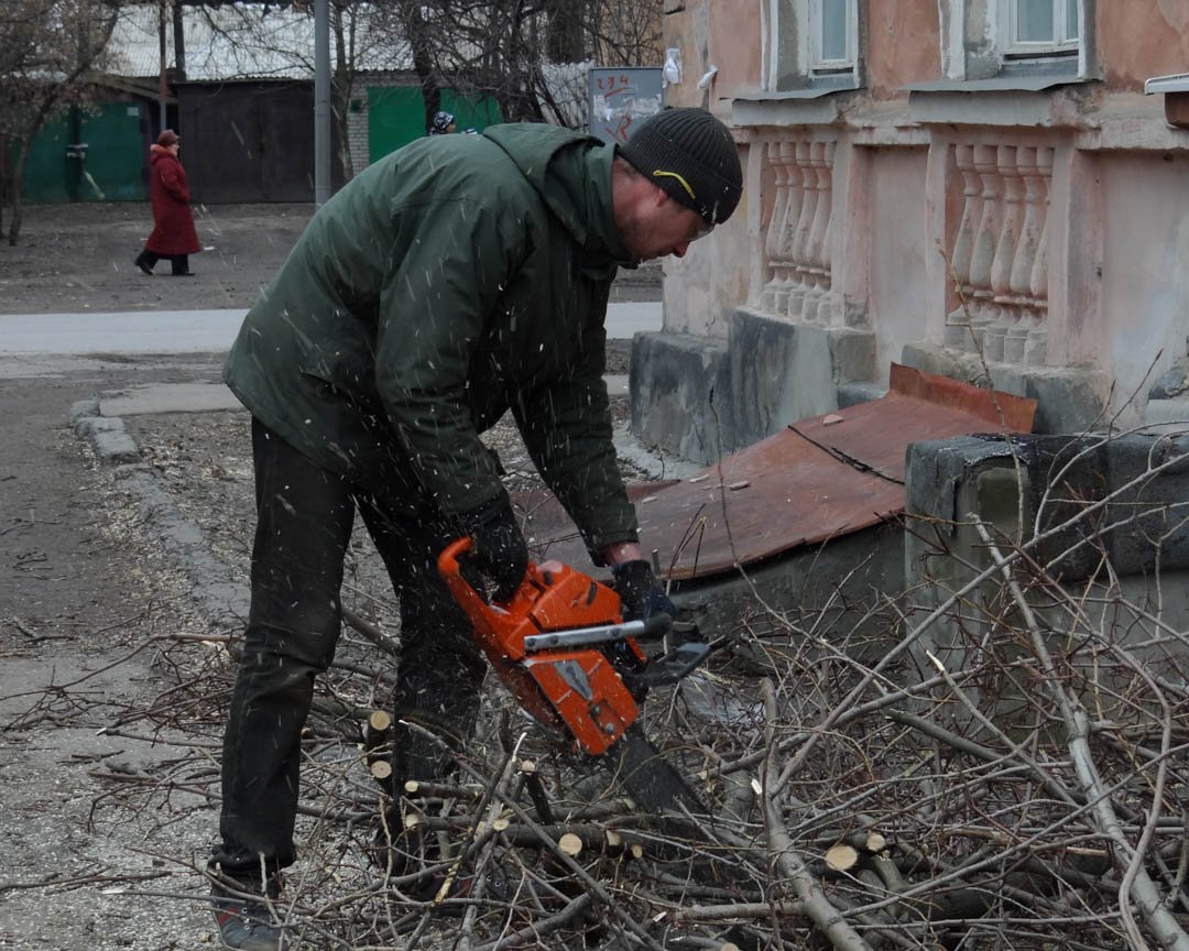 MarsamTree's tweet image. Some of the best reasons to choose our company include our #Over8YearsOfExperience, #QuickAndResponsive, #ReasonableRates and more. What&apos;s something you work to be the best at? #TreeService #TreeContractor #TreeCare #TreeRemoval #Arden28704 bit.ly/2TTTHOS