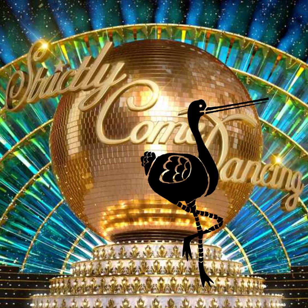 StripeyStork's tweet photo. We have a passion for #StrictlyComeDancing at Stripey Stork, so we โค๏ธ that #SurreyCountyCouncil used this as a platform to raise vital #funds for us in their #StrictlySweepstake - 'Stripey Strictly' certainly has a ring to it! We'd love to bring your #fundraising ideas to life. https://t.co/PVJXTNE72Y