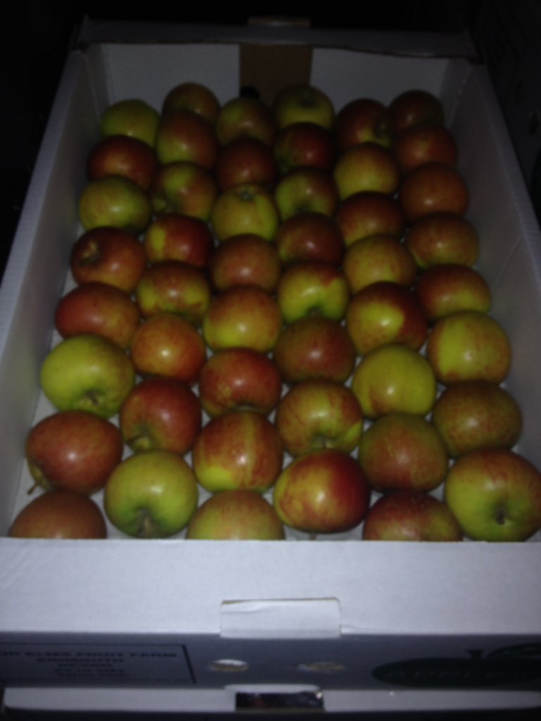 grocer_on_green's tweet photo. WOW!! You lot really can't get enough of these local apples can you?! Just collected more ready for tomorrow!! 😱😃🍏🍎😋👍 #DevonApples #BestApples #ExeterLiveBetter https://t.co/pYOlEnrbvY