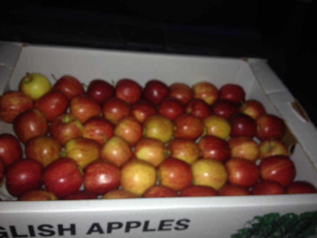 grocer_on_green's tweet photo. WOW!! You lot really can't get enough of these local apples can you?! Just collected more ready for tomorrow!! 😱😃🍏🍎😋👍 #DevonApples #BestApples #ExeterLiveBetter https://t.co/pYOlEnrbvY