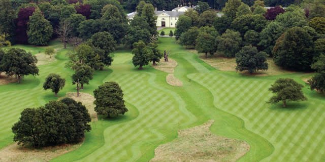 golfshake tweet media