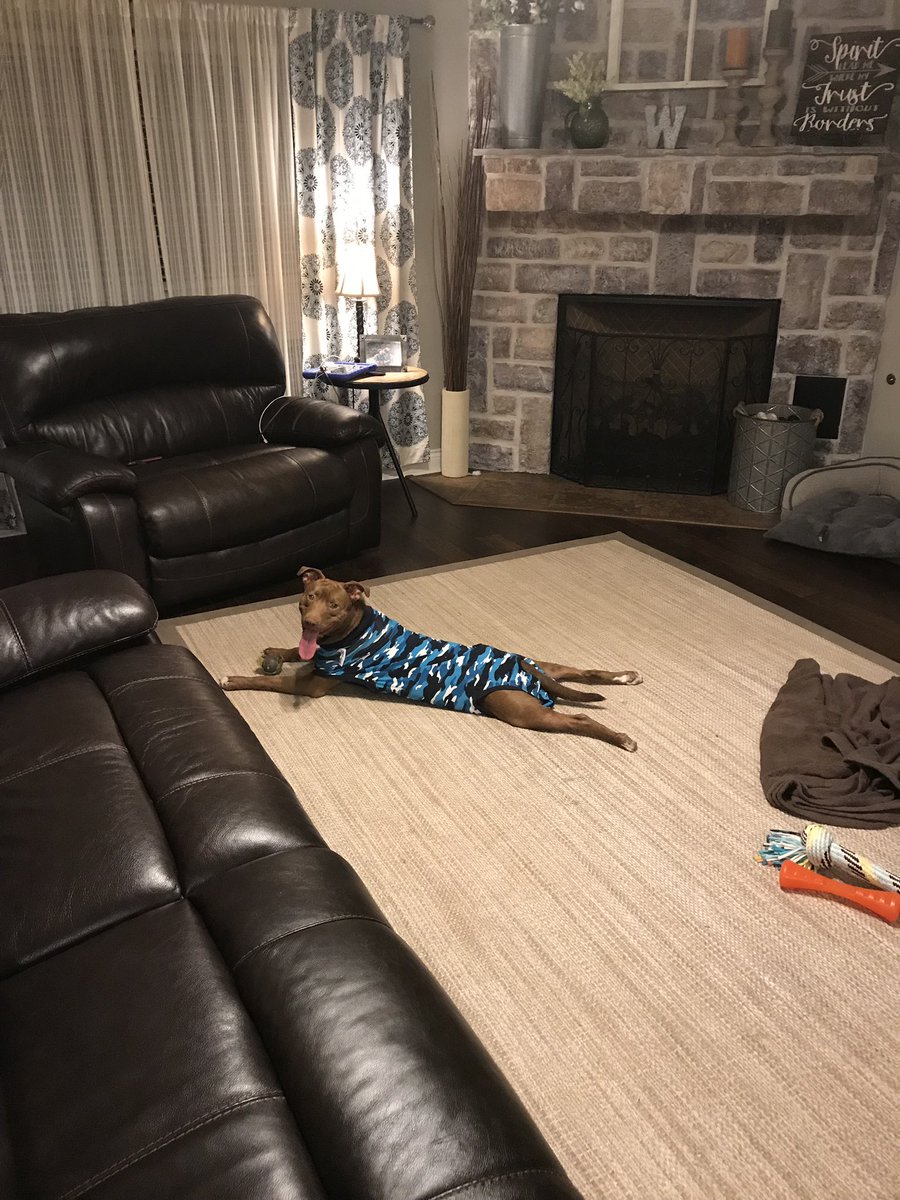 WhoRescued's tweet photo. Thank you @KPRC2RoseAnn for visiting Rowdy!! Thank you for the visit this evening. We are overwhelmed with gratitude for #Rowdy!!
We will be eternally grateful to Rosanne Ann-Aragon for driving all the way out to Montgomery to hang with Rowdy tonight! https://t.co/wAbZ4T5GAg