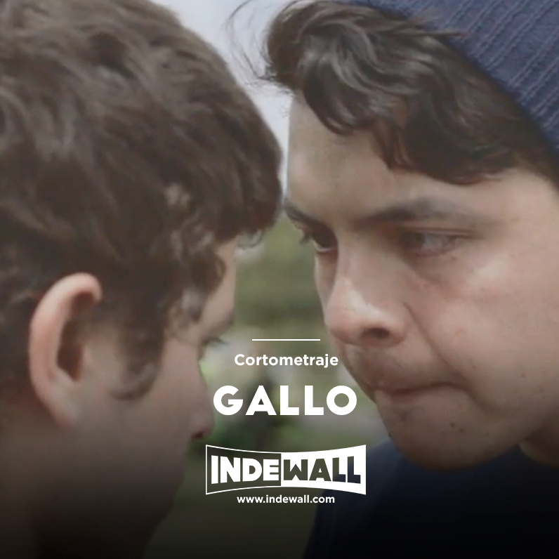 Indewallofficial tweet media