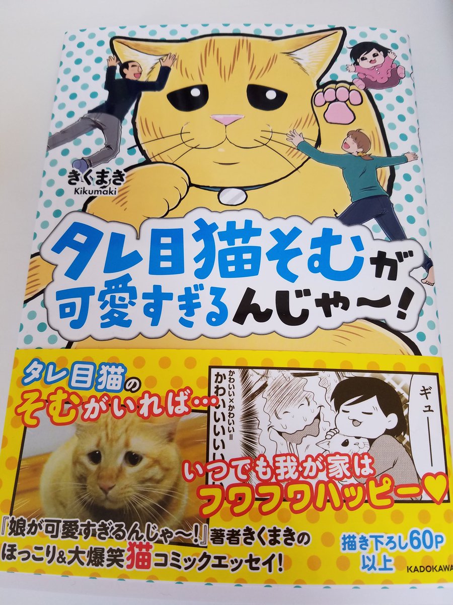 横山了一 V Twitter きくまきさんの新刊 タレ目猫そむが可愛すぎるんじゃ をいただきました 犬派の僕でも思わず猫 派になりそうな素敵な漫画でした いつか猫飼いたいな 横山了一 V Twitter きくまきさんの新刊 タレ目猫そむが可愛すぎるんじゃ をいただきました 犬派の僕でも思わず猫 派になりそうな素敵な漫画でした いつか猫飼いたいな