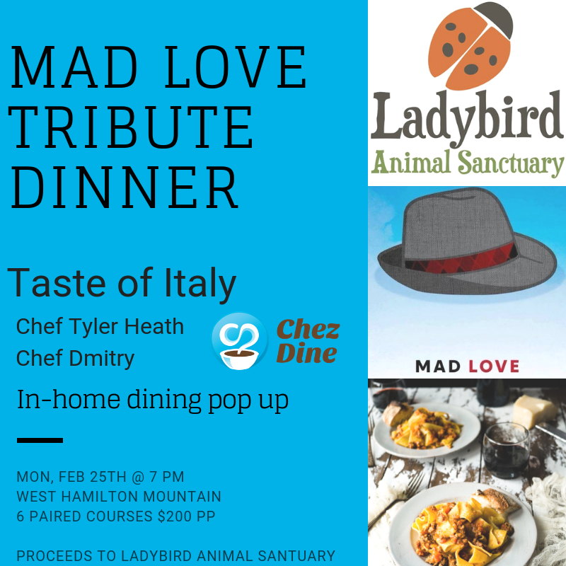 Pop Up Hamilton tweet media