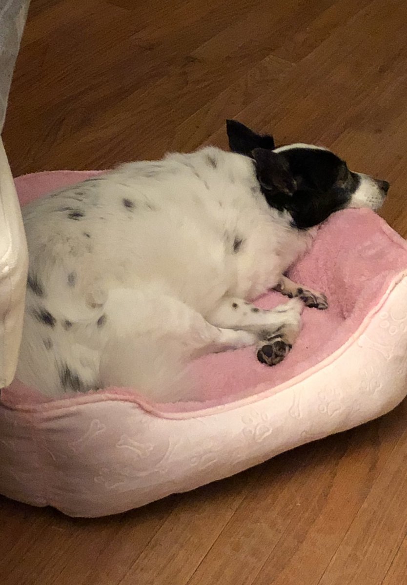 johnnycisco52's tweet image. #happybestfriendsday @luckynala323 #pessa