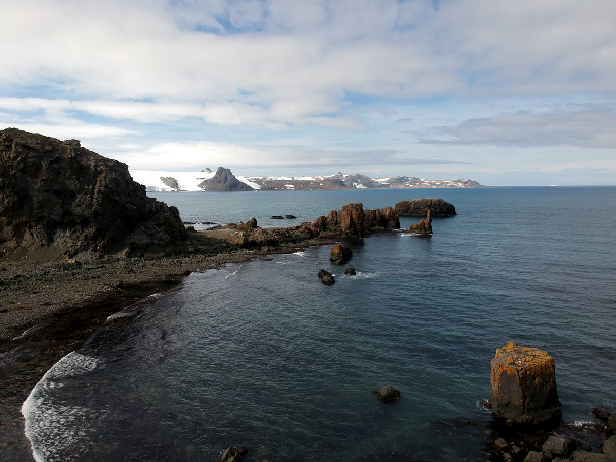 erasmomac's tweet photo. Zona de muestreo hoy, analizando la biodiversidad del intermaeal (zona entre marea alta y baja) en King George Island, South Shetland Islands, Antarctic Peninsula. #KGI #AntarcticaIDEAL #ECAIDEAL2019 #ECA55 #AlgaLabECA55 #MarineBiodiversity #RockyIntertidal #MBONPole2Pole ❄️🇦🇶👍 https://t.co/ke2GM3cReD