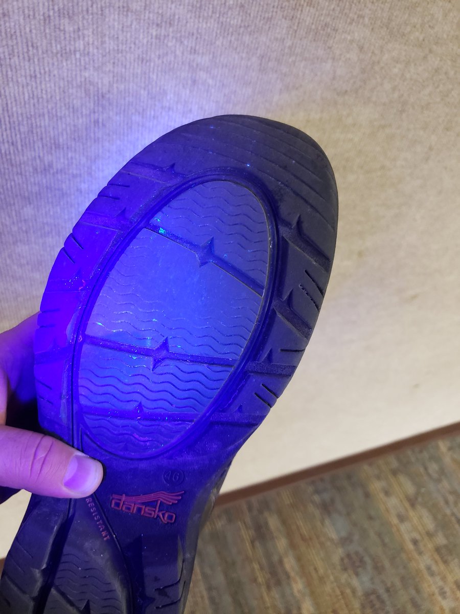 cjrdvm's tweet photo. Infrared flashlight showing a simulated pathogen (Glogerm) that was put in the parking lot of NWICC in Sheldon, IA and tracked into the conference room at the @IowaPork @IowaPorkCenter Regional Meetings hosted across Iowa the week. #Biosecurity https://t.co/rV4srgjf70
