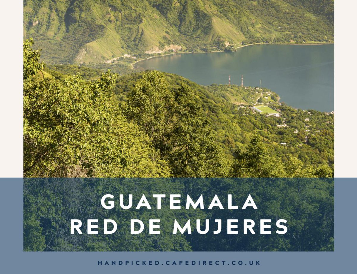 Cafedirect's tweet photo. For another of our February #CafedirectHandpicked coffees, we're delighted to return to the Huehuetenango region of Guatemala, one that is filled with Mayan history and whose name literally translates as ‘place of the ancients’. https://t.co/viVHQTVcH5