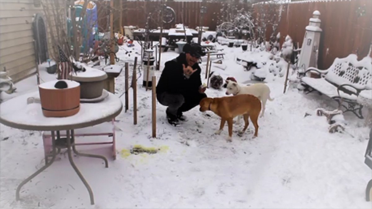 KevinMattson's tweet image. WATCH OUT WHERE THOSE HUSKIES GO... PAPA BEAR WORDS OF WISDOM LIFE LESSON #101
instagram.com/p/BuE96mVlequ/
@Bodybuildingcom #BBcomChallengeSeries #KMChallenge19 #nstransformation #Dominate #WINTER #ICECREAM #DOGSOFINSTAGRAM #DOG