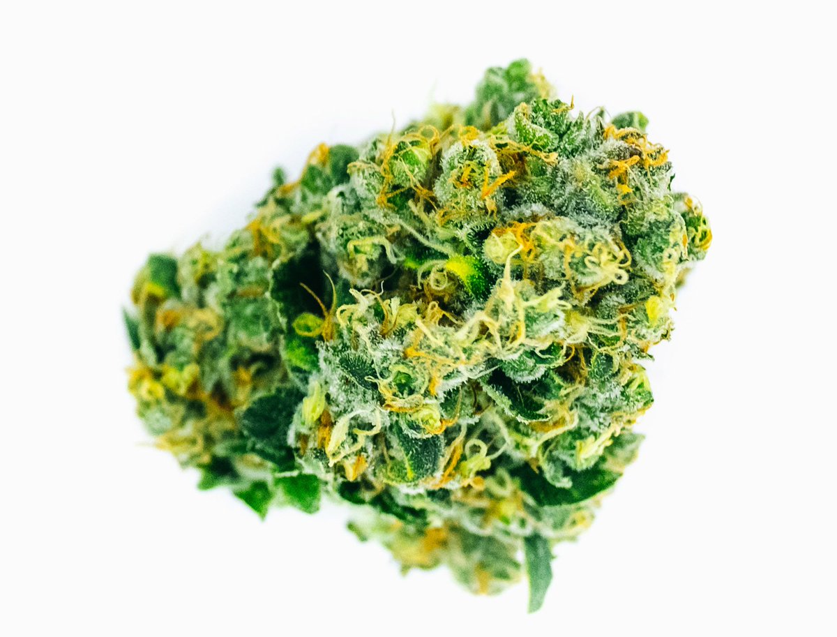 We hope everyone had an incredible long weekend and spent some quality time with loved ones. #CannabisThrives #CannabisFamily #ThriveCannabis #CannabisCommunity