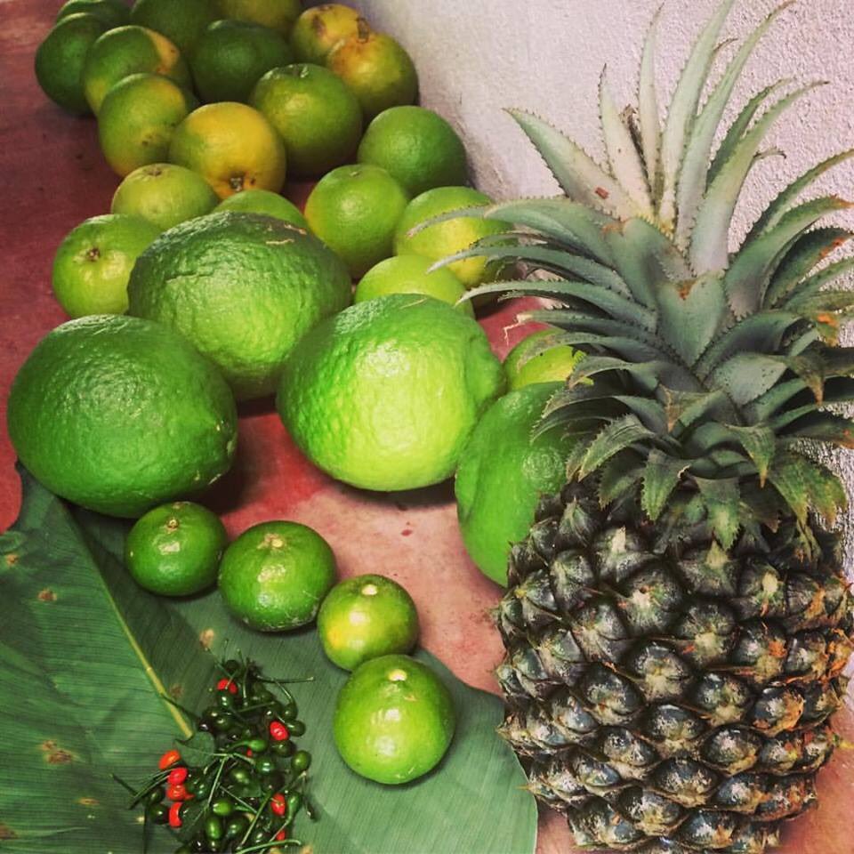corazon_bosque's tweet photo. En #CorazonDelBosque cultivamos nuestras #piñas orgánicas y son gratis para los huéspedes. #LordPiña https://t.co/ETtlsU9CCG