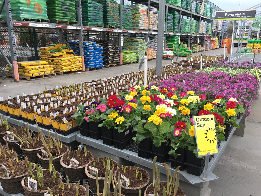 PPSKare's tweet photo. THD NMB 1121 where Color is rising to the Spring Occasion #lookinglike$pring @lumbeelady2004 @Fx0317 @JimSimmonsHD @Stephen_E_Camp @PNewtonPlants @PPSinHD https://t.co/ZI4EXnQhfr