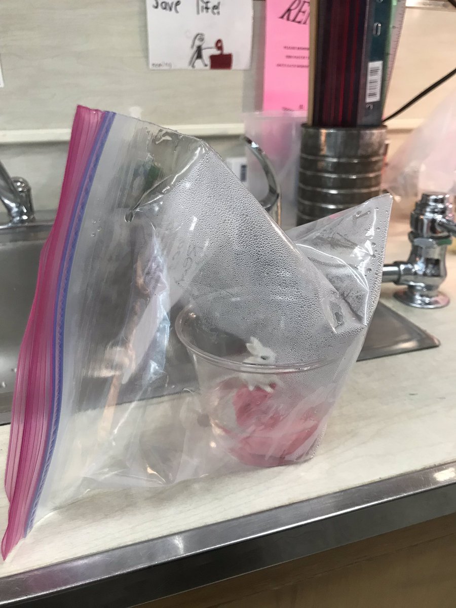 Melissa Gagnon tweet media