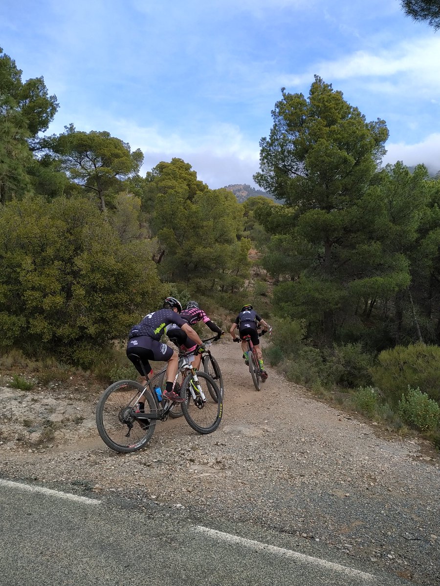 PC ALEDO tweet media