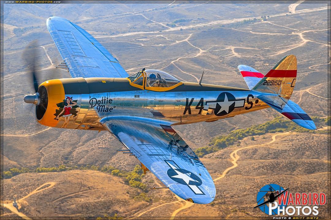LyonAirMuseum1's tweet photo. Dottie Mae flew 91 missions in Europe, beginning in December 1944, 25 different pilots flew the missions, 39 of those missions were flown by Larry Kuhl, and he was the one who gave it the name ‘Dottie Mae’.
#historyontheflightline #flightline #rampday #p47 #p47thunderbolt
(1/5) https://t.co/3fUoEqQJH1