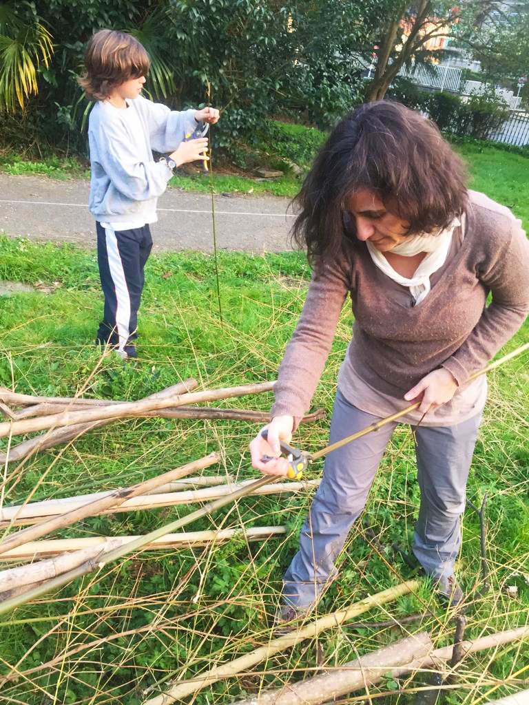 UliakoMintegiak's tweet photo. Hemos estado cortando un porrón de cañas de #bambú junto a ramas de restos de podas apiladas en el #auzolan del finde. Ahora todos los palos están bien lisitos👌
Pasarán a tomar parte del #tutorado del parque cuando las plantas trepadoras de la #huerta así lo requieran 😉 https://t.co/al2xyG1VKJ