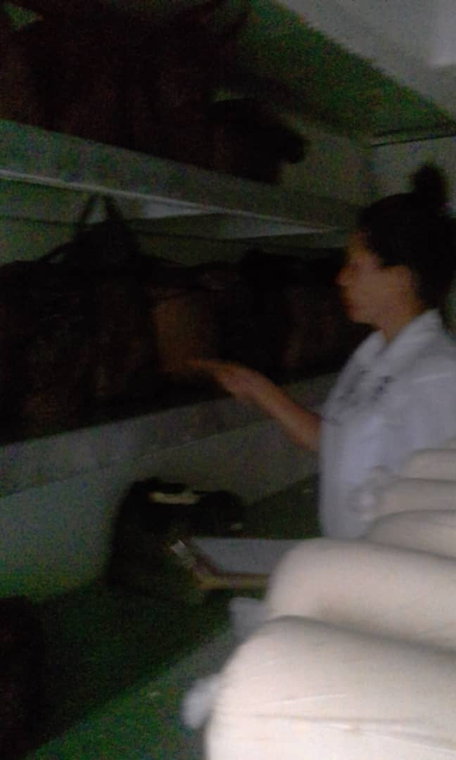 sacs_yaracuy's tweet photo. #SACSAvanza Continúa despliegue de funcionarios en inspecciones a establecimientos panaderos con la finalidad de vigilar en cumplimiento de las normas sanitarias correspondiente. Municipio San Felipe. https://t.co/Mgqy0GCvfE