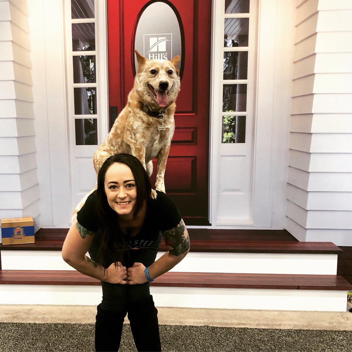 xxink3dxx's tweet image. Nova and I are having a blast #HillsSweeps @HillsPet #WVC2019