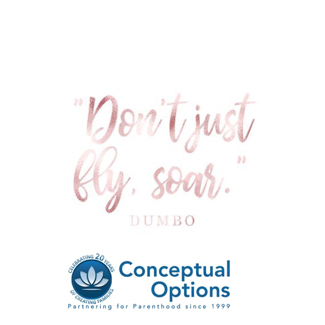 surrogacycenter's tweet photo. "Don't just fly, soar." - Dumbo
--
#conceptualoptions #wecreatefamilies #surrogacy #positivity #tuesdaymotivation #tuesdayinspiration https://t.co/eKOlcyEq4O