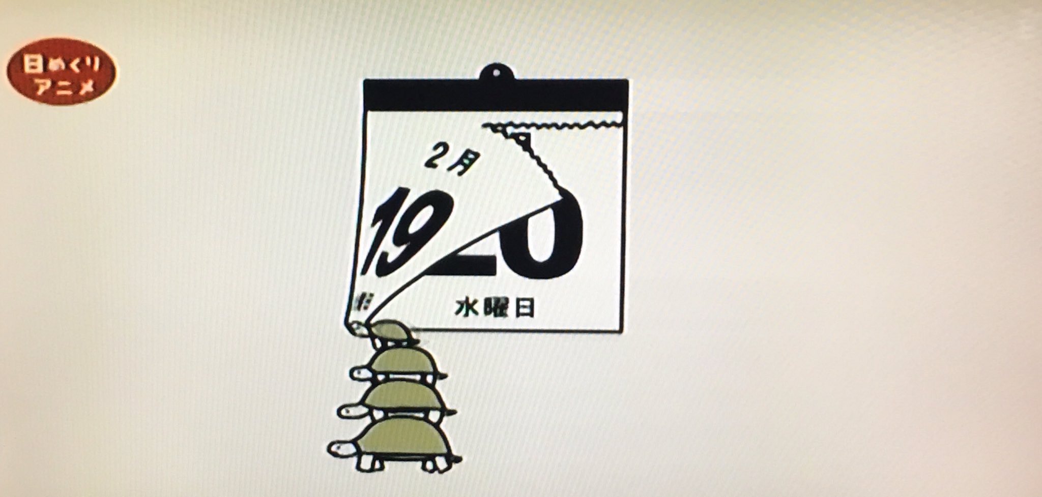 キトン Twitterissa Eテレ0655 朝飯前クイズ 日めくりアニメ 亀の背骨は甲羅に沿っている このクイズ前にも見たから答え知ってるし Www