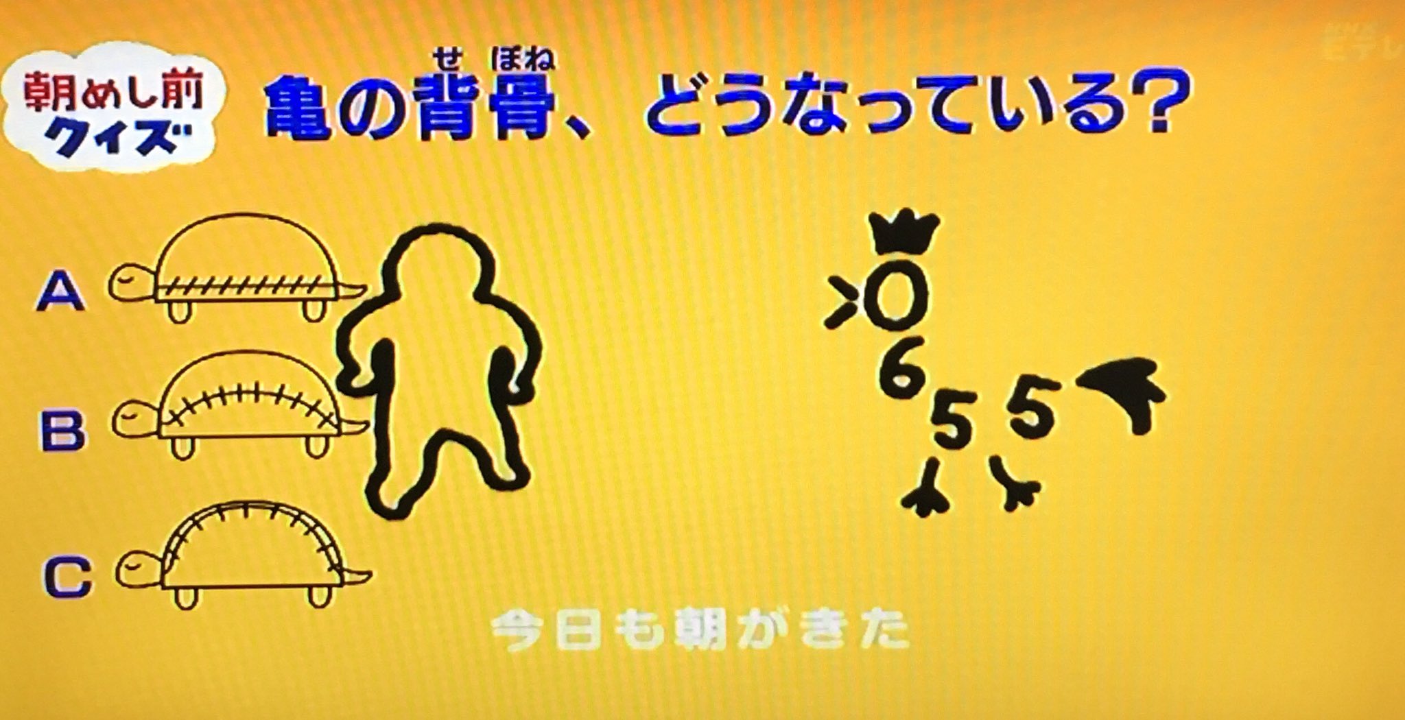 キトン Eテレ0655 朝飯前クイズ 日めくりアニメ 亀の背骨は甲羅に沿っている このクイズ前にも見たから答え知ってるし Www キトン Eテレ0655 朝飯前クイズ 日めくりアニメ 亀の背骨は甲羅に沿っている このクイズ前にも見たから答え知ってるし Www
