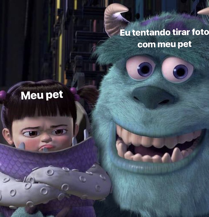 castilho tweet media