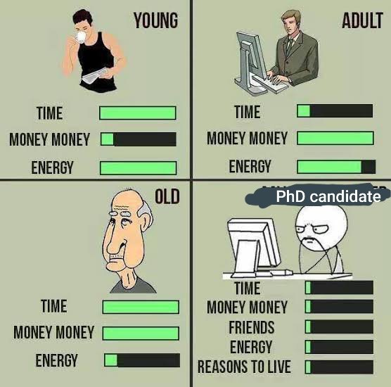 Michelle Chamoun tweet media