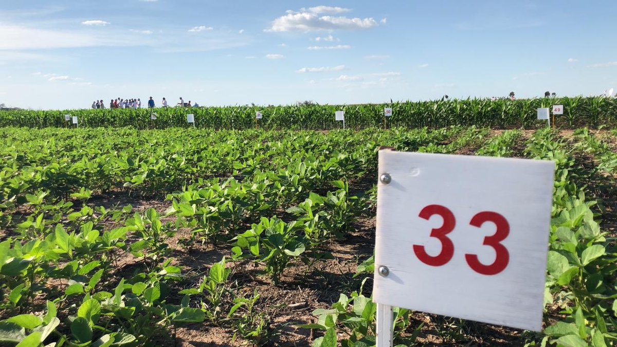 TROPFEN_AGRO's tweet photo. #JornadaDemeterLab llega al final de su primer día con una recorrida a campo y nuestra presentación de #TropL 👏🏽👏🏽👏🏽 
Seguimos mañana con todo! 🦆 https://t.co/jaJycPxDPP