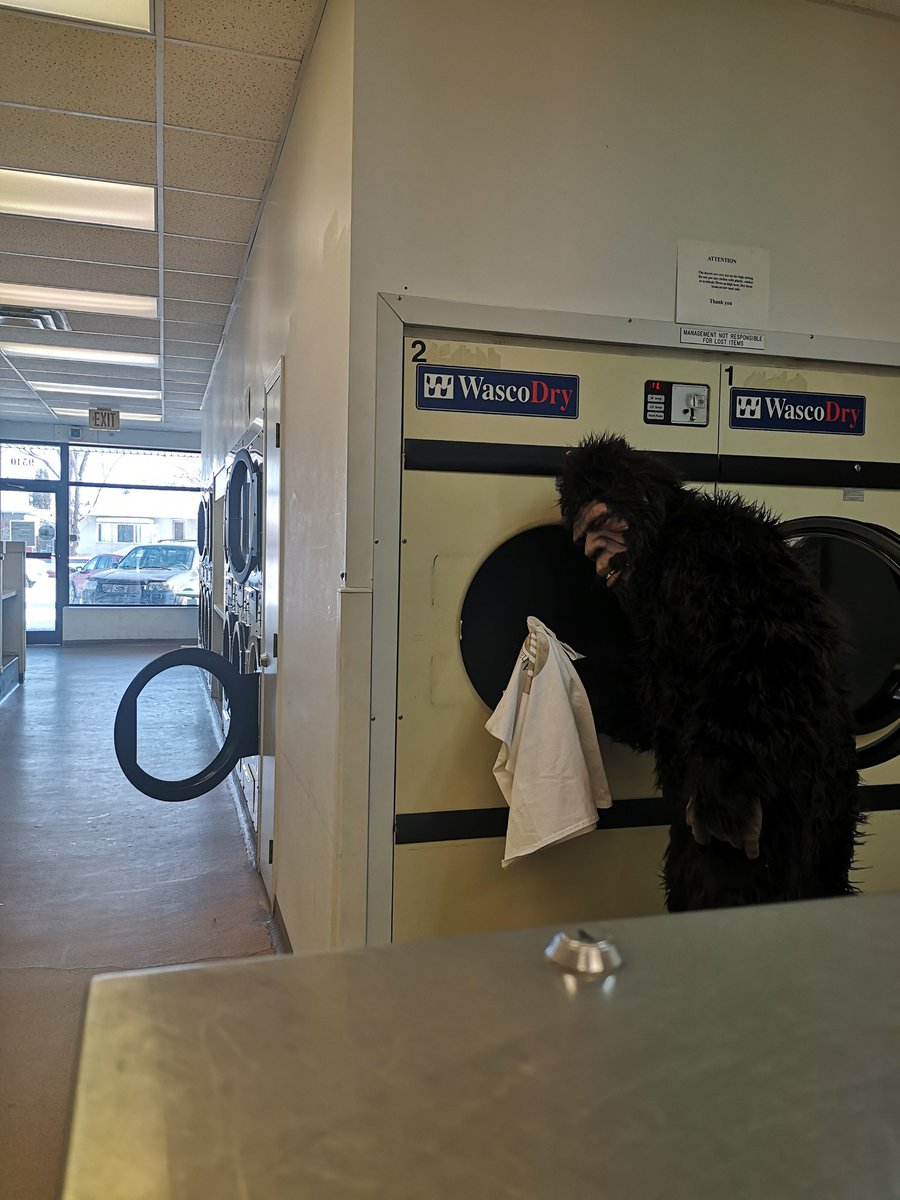 Keithfurneaux's tweet photo. Look who I ran into!
#StrathSquatch using the Strathearn Coin Laundry. https://t.co/M27hcr4HtV