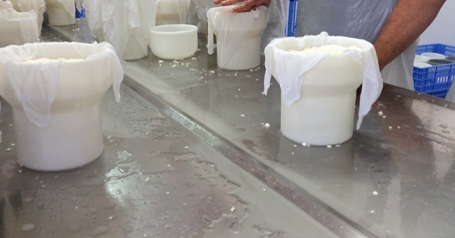 El lunes 25 a las 6 de la tarde tenemos una cita en A Casa do Queixo (Sobrado dos Monxes)🔜 Donde  llevaremos a cabo un #taller de elaboración de #queso y una #cata GRATUITA 🧀🔝🔝 Plazas limitadas! 🏃Interesados MD o 662479290 #experienciasrurales #foodexperiences #rural
