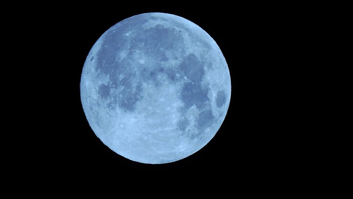 Sun Bronx tweet media