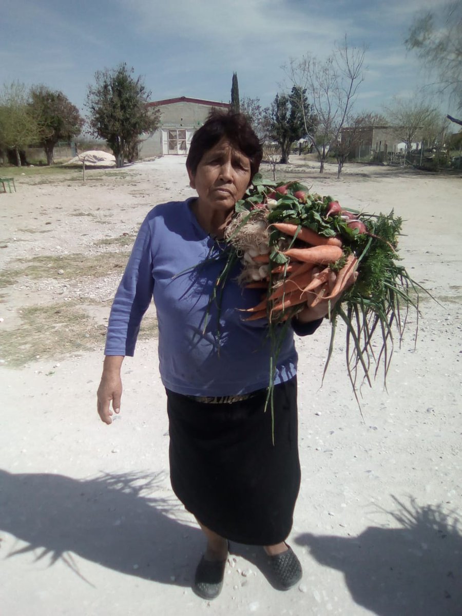 DIFGomezPalacio's tweet photo. Habitantes de la comunidad de Lechuzas, recibieron la visita del personal del Sistema DIF Municipal, para entregar  hortalizas, en beneficio de su economía y promoviendo la sana alimentación.

#DIFCercaDeTi
#HaciendoLaDIFerencia
#GómezPalacioVa https://t.co/hdKOG4XmT3