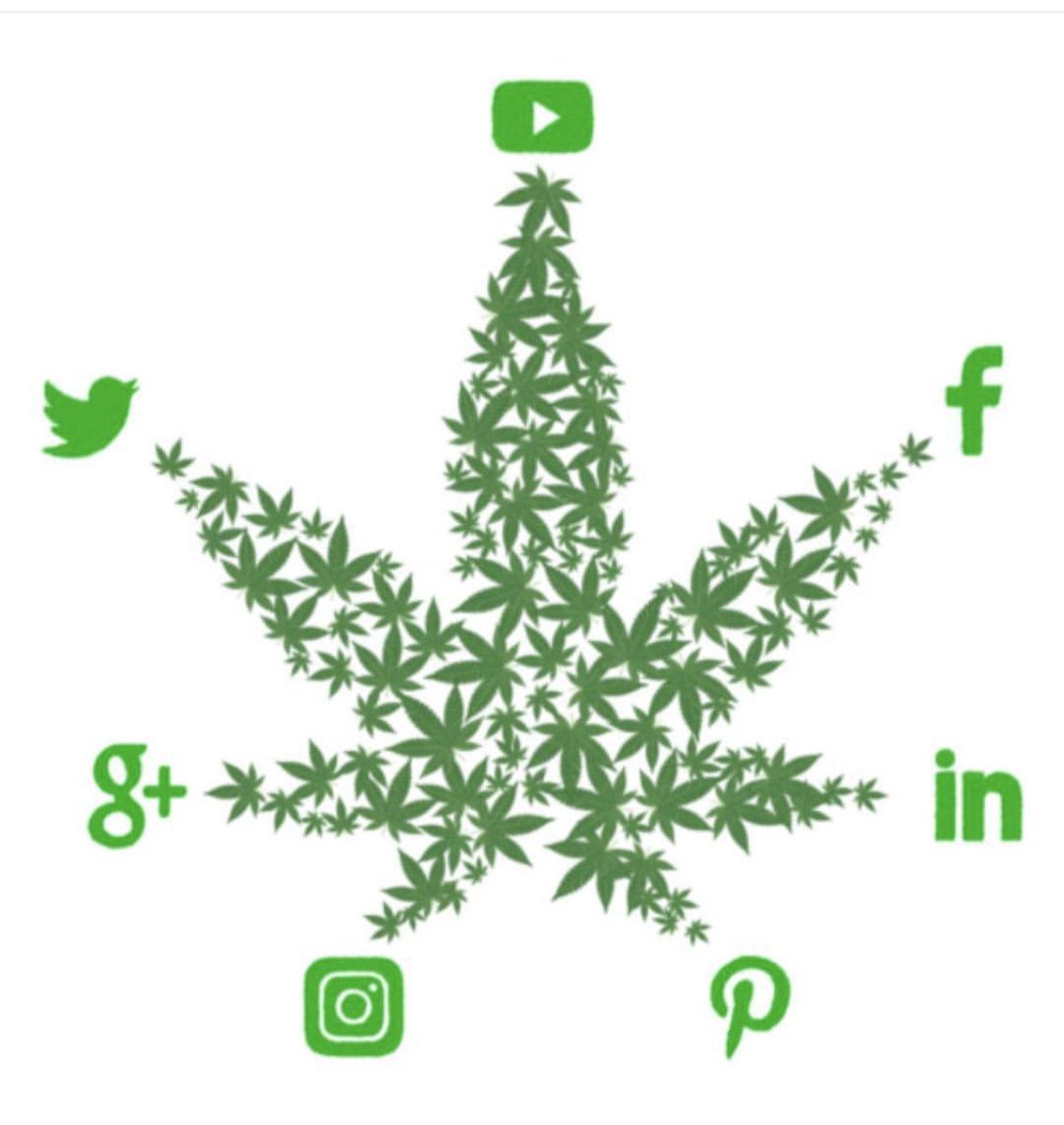 RockstarCBDoil's tweet photo. Let's get connected #cannabiscommunity @rockstar_cbd @RockstarCBDoil @cannabis_girls @cannabisgirlsclubfl #cbdbiz #cannabisbiz #mompreneurs https://t.co/S8PHT45fKa