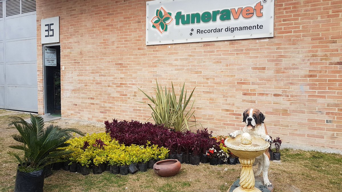 funeravet's tweet photo. Mejorando las instalaciones en el Horno de Funeravet para nuestros clientes https://t.co/fokMaj6D2s