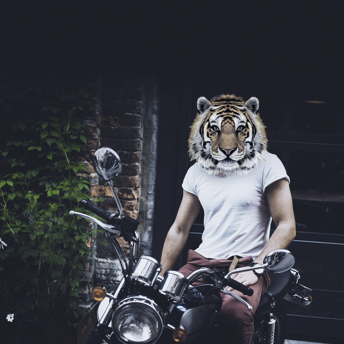 Stay wild. We’ll see you on Thursday. This Weekend’s line-up: 
Thursday, February 21st: <a href="/DJKerryGlass/">Kerry Glass</a>
Friday, February 22nd: <a href="/DJDynamiq/">Dj Dynamiq</a>
Saturday, February 23rd: <a href="/DJQUE/">The Blackout Panda</a>