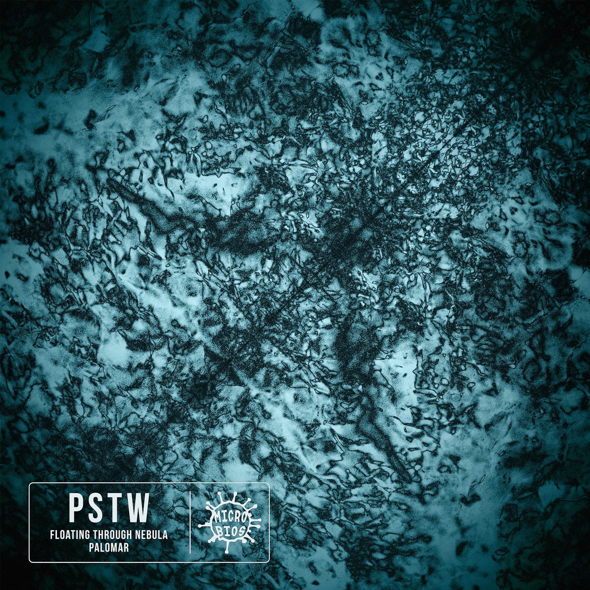 PSTW tweet media