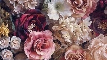 𐬹 ◡̈ ॱ ˓ ช่อม่วง ˒ 𖦹˚ ˖ ฟอลแบคเค้าน้าา tweet media