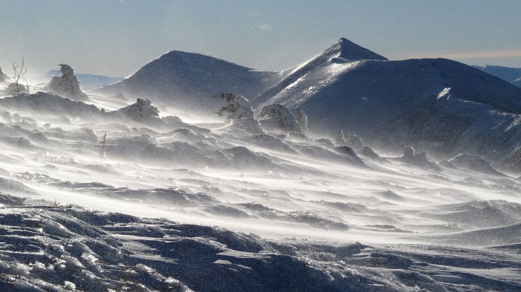 zibi20201's tweet photo. Kurniawka

Mała Sywula (1815 m n.p.m.) i najwyższy szczyt Gorganów Wielka Sywula (1836 m n.p.m.) ogladane podczas małej zamieci śnieżnej na wierzcholku Ihrowca (1807 m np.p.m.). Mieliśmy przed wojną poza Tatrami wyższe szczyty niż Babia Góra.
  #magiczneKarpaty #Gorgany #Ґорґани https://t.co/AodeNstQZd
