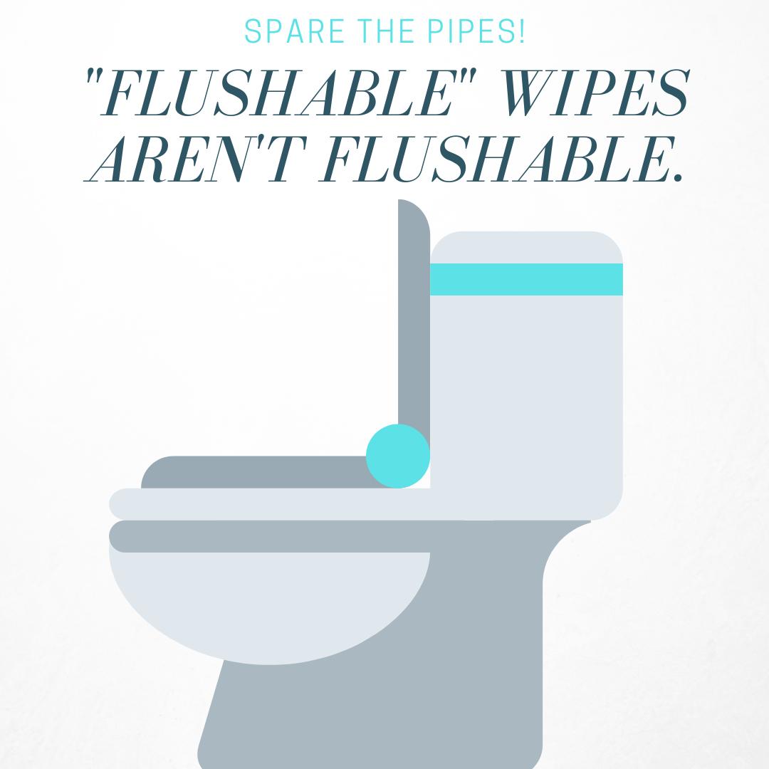 SnowResLife's tweet image. Reminder! So called "flushable" wipes are in fact, not flushable. Nor are feminine hygiene products of any sort. Spare the pipes! 😀💦🚽
.
.
.
#snowreslife #oncampushousing #ephraimhousing #sparethepipes #flushablewipes #plumbing #snowcollegeresidencelife