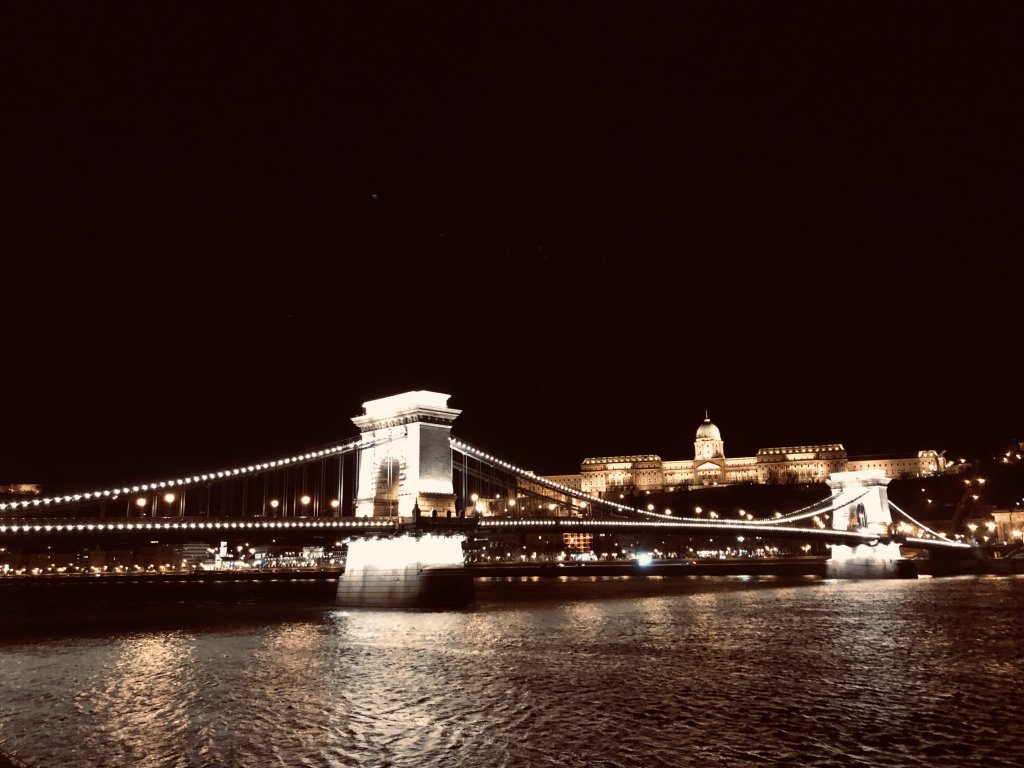 jsvetlo's tweet photo. Vacation over therapy any day https://t.co/o0pPxmyiE3 https://t.co/HxDfqYddAC